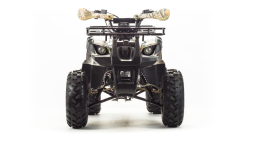 Квадроцикл MOTOLAND 125 Fox A, фото 2