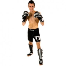 Боксерские Перчатки Booster booboxglove016