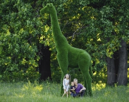 Топиари Жираф большой, модель 1 - газон Premium, фото 2