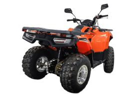 Квадроцикл MOTOLAND ATV 200 Max, фото 5