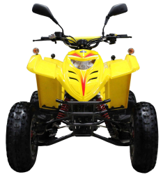 Квадроцикл ADLY 100, фото 3 Квадроцикл ADLY 100, фото 3