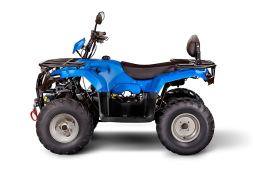 Квадроцикл IRBIS ATV200 LUX, фото 3 Квадроцикл IRBIS ATV200 LUX, фото 3