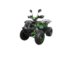 Квадроцикл AVANTIS Hunter 8M+ 125 2018, фото 1