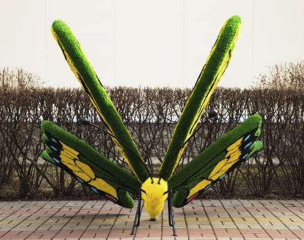 Топиари бабочка Барбариска - газон Eco, фото 3