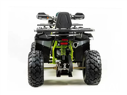 Квадроцикл MOTOLAND 200 Wild Track Pro, фото 4