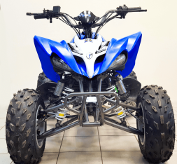 Квадроцикл MIKILON Rapide 250S, фото 5 Квадроцикл MIKILON Rapide 250S, фото 5