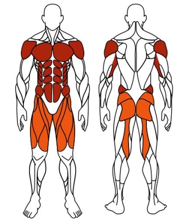 Жим ногами+Брусья (зеленый) - Уличный тренажер - СТ 023-12, фото 6
