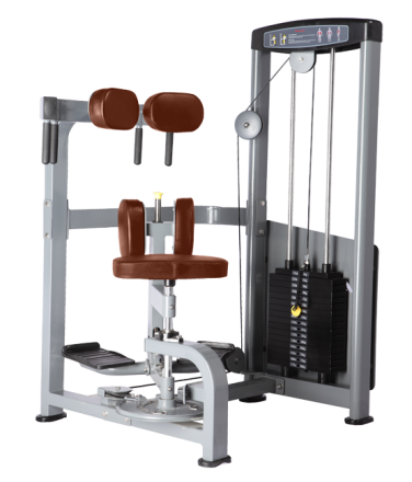 BRONZE GYM D-011_C Торс-машина, фото 1