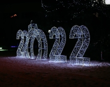 Световая фигура Цифры №2 w002