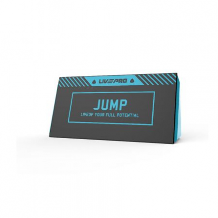 Набор барьеров LIVEPRO Lateral Endurance Hurdle, фото 1