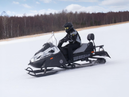 Снегоход RM Tayga Patrul 800 SWT XE Sport, фото 3