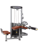 Изображение товара Сгибание ног лежа BRONZE GYM D-013A