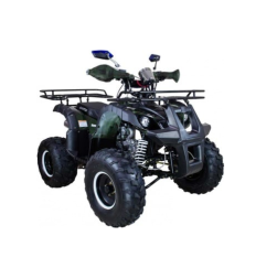 Квадроцикл AVANTIS Hunter 8+ 125 2018, фото 1