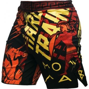 Шорты Hardcore Training hctshorts066, фото 1