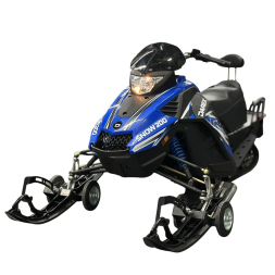 Снегоход DAREX Snow 200, фото 1