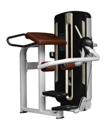 BRONZE GYM MNM-016А Ягодичные мышцы