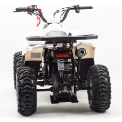 Квадроцикл MOTOLAND 110 Eagle (2021 Г.), фото 4