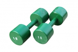 Гантель «ProfiGym» неразборная с полимерным покрытием, 10 кг  ГНП-10 