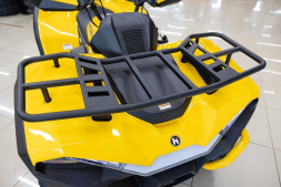 Квадроцикл HISUN Guardian 400L Long, фото 11