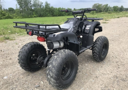 Квадроцикл HAMMER Hunter 300, фото 10 Квадроцикл HAMMER Hunter 300, фото 10