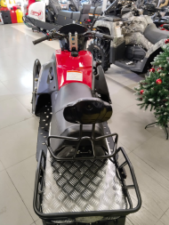 Снегоход IRIDE Snow Wolf 180, фото 3