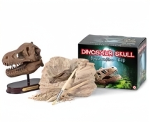 Юный археолог &quot; В поисках&quot; головы большого динозавра