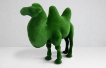 Топиари Верблюд двугорбый