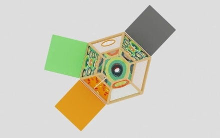 Плетеный улей Кальдера 3, фото 3