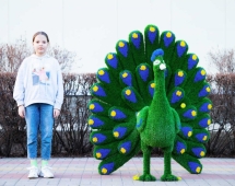 Топиари павлин Григориан, h=155 см - газон Eco