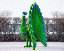 Топиари павлин Григориан, h=155 см - газон Eco