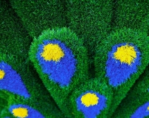 Топиари павлин Григориан, h=155 см - газон Eco