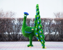 Топиари павлин Григориан, h=155 см - газон Eco