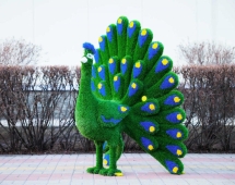 Топиари павлин Григориан, h=155 см - газон Eco