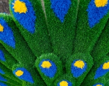 Топиари павлин Григориан, h=155 см - газон Eco