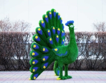 Топиари павлин Григориан, h=155 см - газон Eco