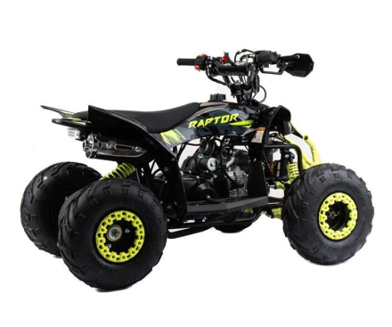 Квадроцикл MOTOLAND Raptor 110, фото 2