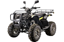 Квадроцикл RATO Hammer 200 Disk F, фото 1