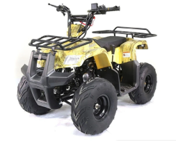 Квадроцикл ATV Atomik TT, фото 1