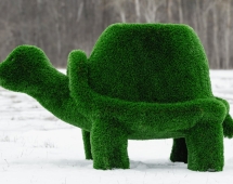 Топиари Черепаха с кашпо, Мудрая газон Eco