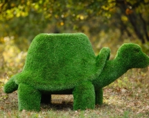 Топиари Черепаха с кашпо, Мудрая газон Eco