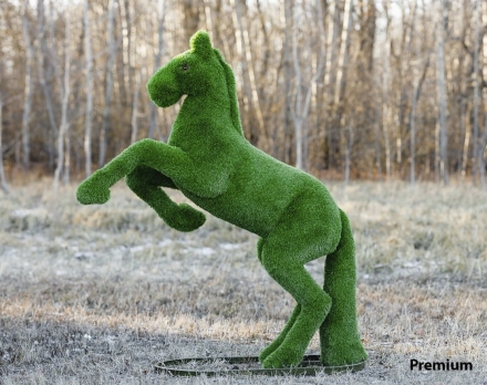 Топиари Конь на дыбах - газон Premium, фото 1