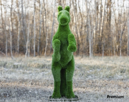 Топиари Конь на дыбах - газон Premium, фото 3