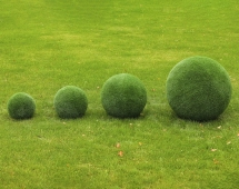 Топиари Шар в виде куста туи, 40 см - газон Eco Топиари Шар в виде куста туи, 40 см - газон Eco