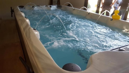 Плавательный спа-бассейн с противотоком Vita Spa XL4, фото 13