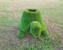 Топиари Черепаха с кашпо, Мудрая газон Premium