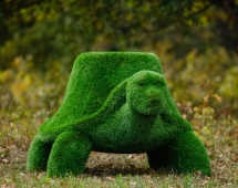 Топиари Черепаха с кашпо, Мудрая газон Premium