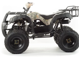 Квадроцикл MOTOLAND 200 All Road (2021 Г.), фото 5