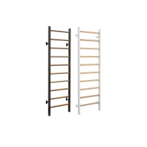 Стенка гимнастическая комбинированная 2200*710 мм