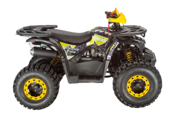 Квадроцикл AVANTIS Classic 8 New, фото 4 Квадроцикл AVANTIS Classic 8 New, фото 4