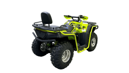 Квадроцикл BISON 330, фото 5 Квадроцикл BISON 330, фото 5